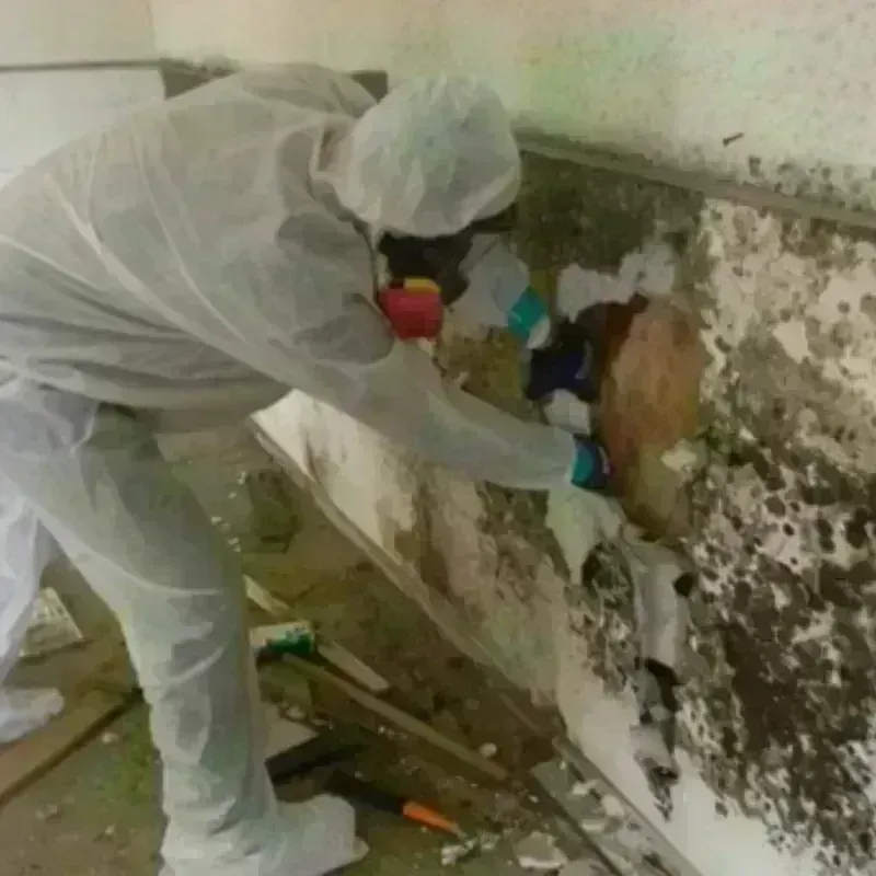 Mold Remediation and Removal in Rockingham County, NH